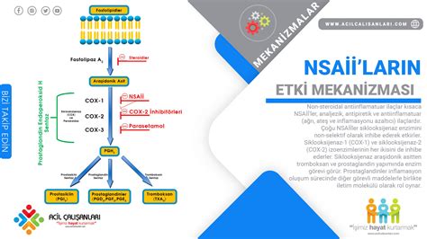 Etki Mekanizması